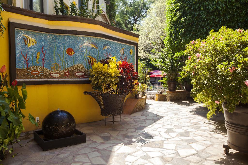 Quinta Del Gobernador Hotel Cuernavaca Ngoại thất bức ảnh