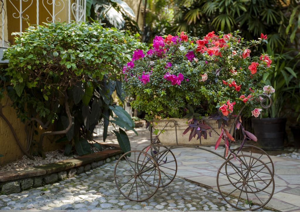 Quinta Del Gobernador Hotel Cuernavaca Ngoại thất bức ảnh